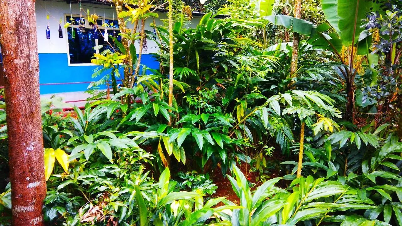 ベッド・アンド・ブレックファスト Tea Drops Plantation Villaムンナール インド