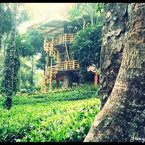 Jungle Jive Tree House Munnar