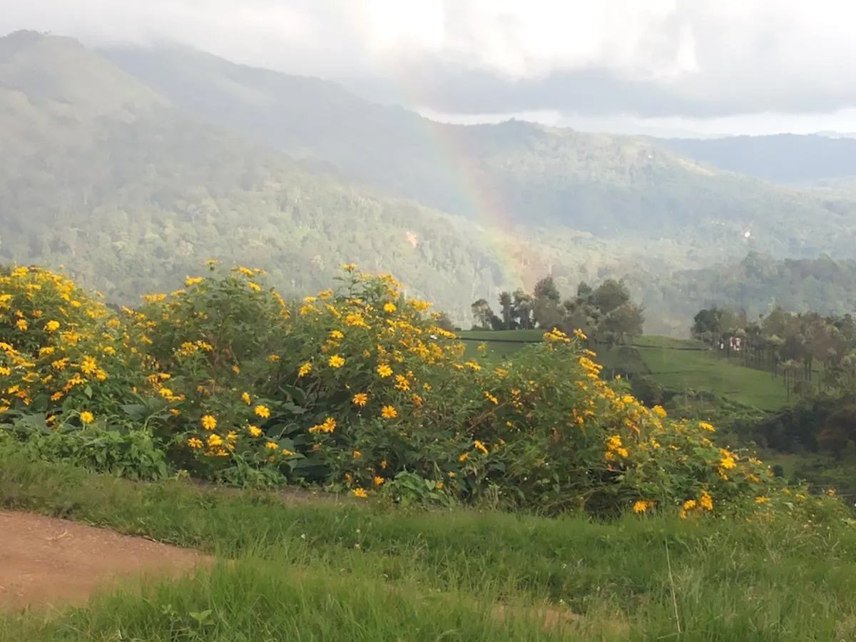 Tea Drops Plantation Villa Munnar 0*,