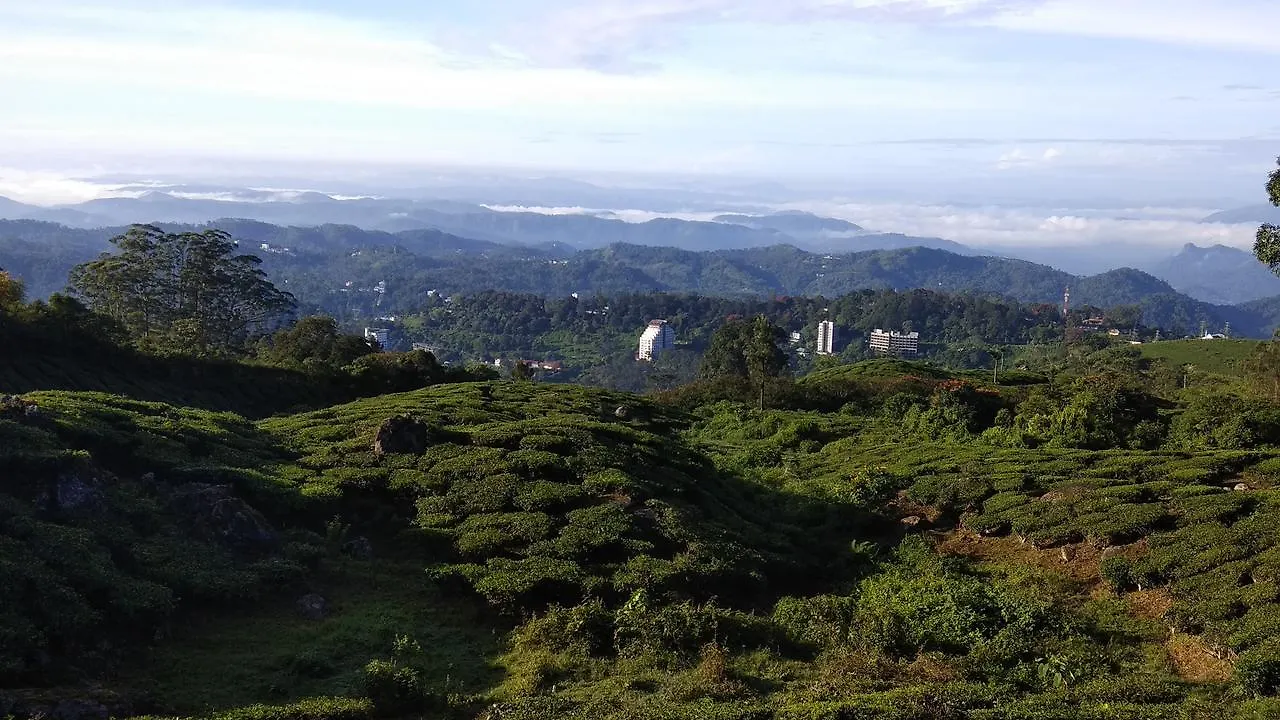 Tea Drops Plantation Villa Munnar Bed & Breakfast