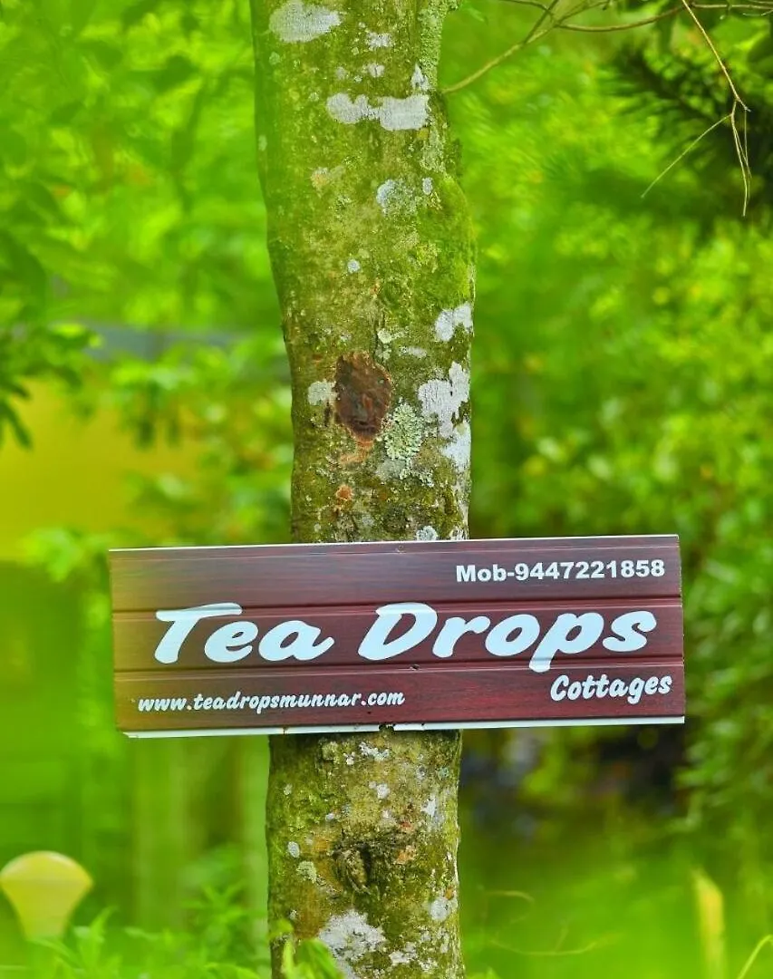 Tea Drops Plantation Villa Munnar