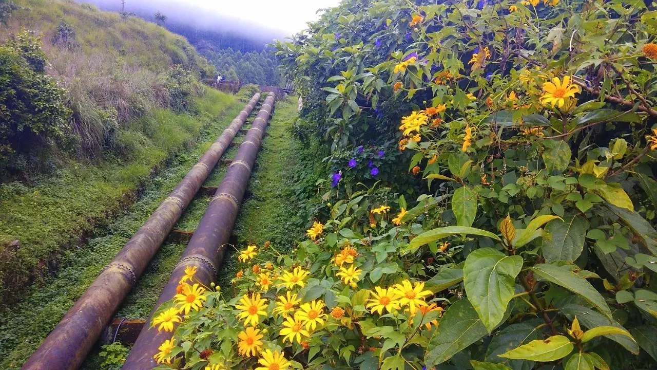 Tea Drops Plantation Villa Munnar Bed & Breakfast
