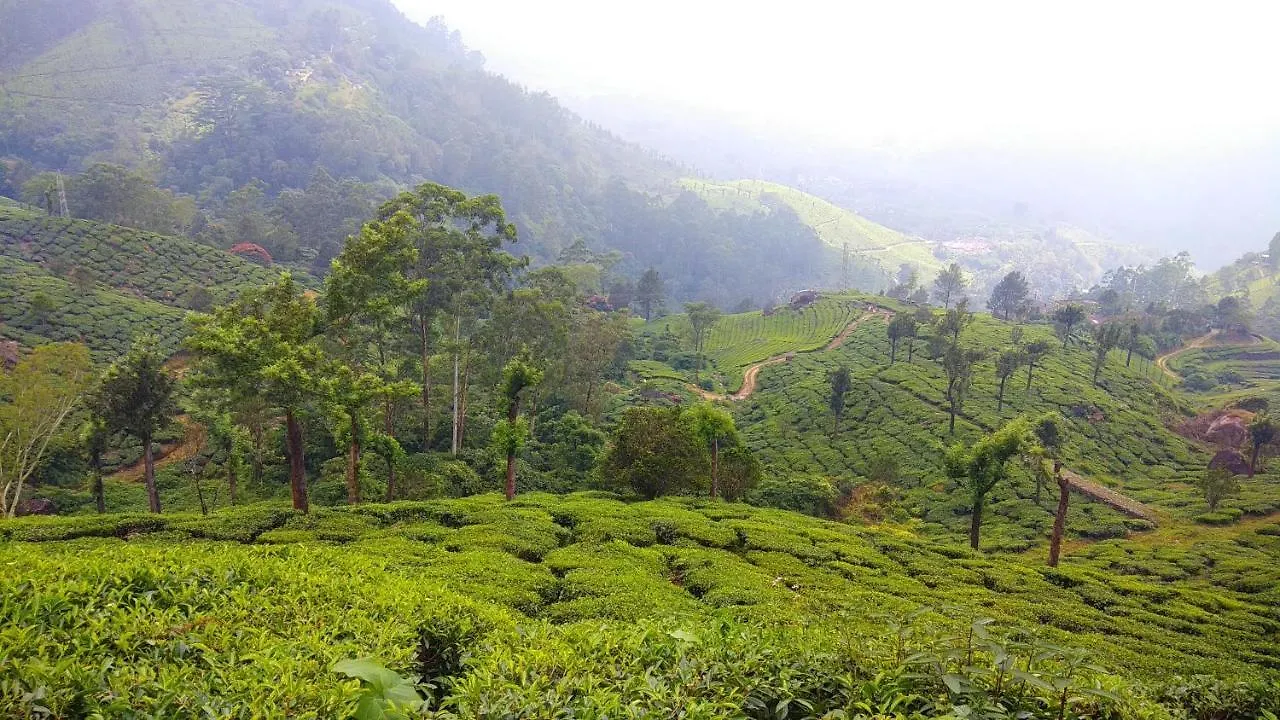 Tea Drops Plantation Villa Munnar Bed & Breakfast