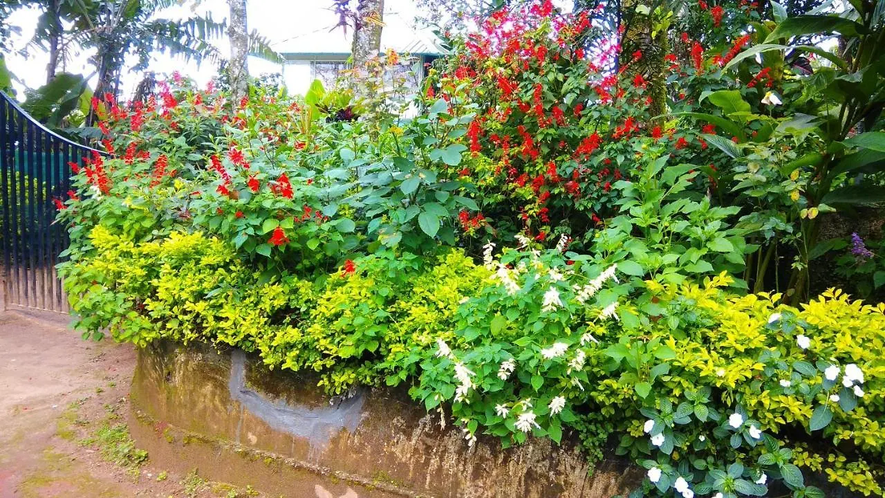 Bed & Breakfast Tea Drops Plantation Villa Munnar India
