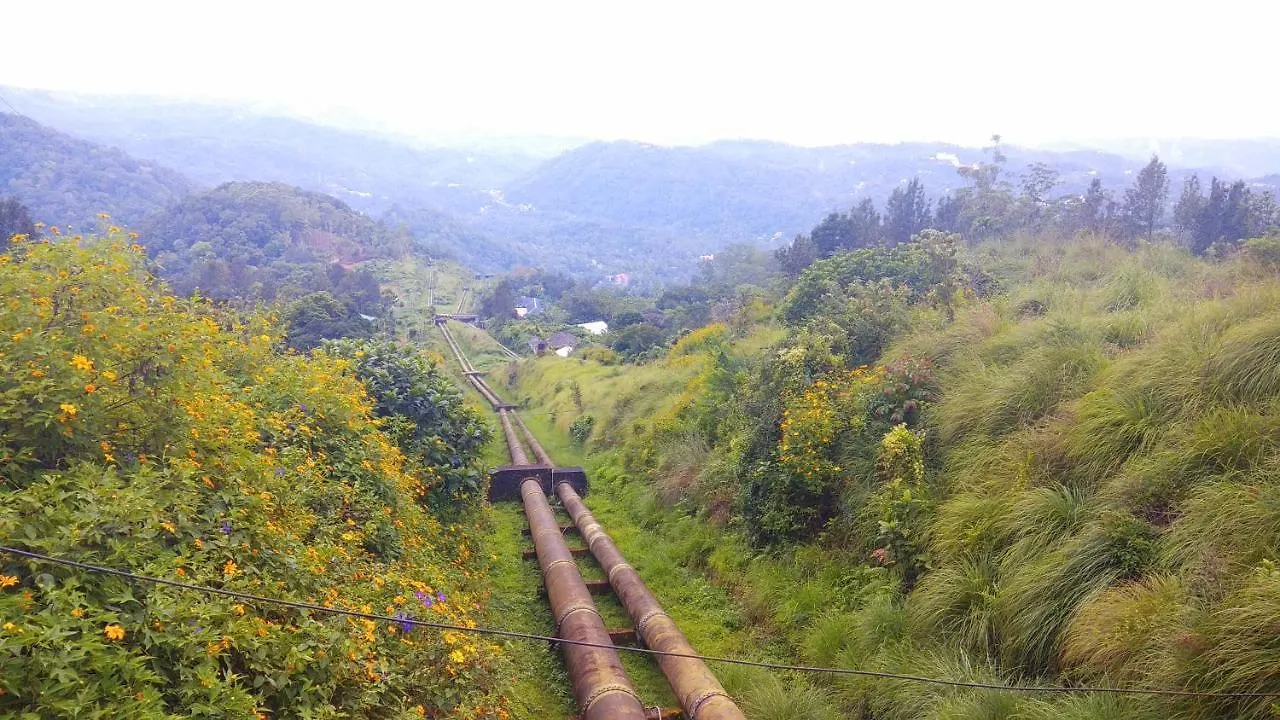 Tea Drops Plantation Villa Munnar Bed & Breakfast