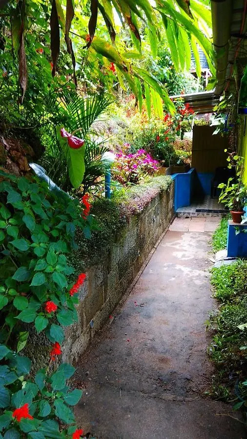 Tea Drops Plantation Villa Munnar Bed & Breakfast